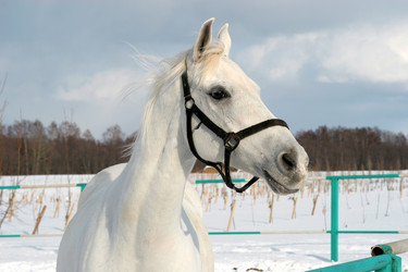 Similar image 457186