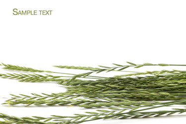 Similar image 457209