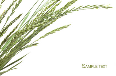 Similar image 457212