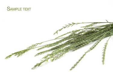 Similar image 457222