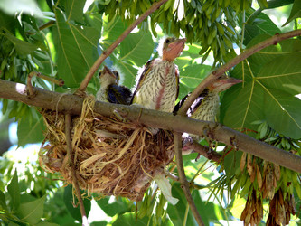 Similar image 457310