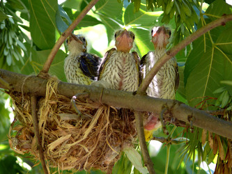 Similar image 457311