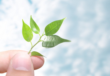 Similar image 457353