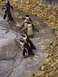 Similar image 457481