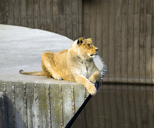 Similar image 457495