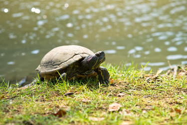 Similar image 457496