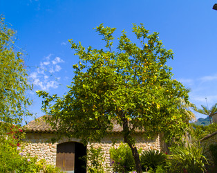 Similar image 457503