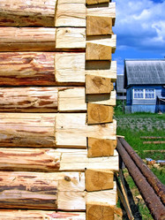 Similar image 457507