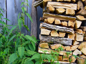 Similar image 457524