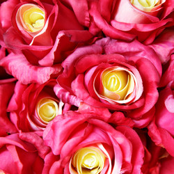 Similar image 457530