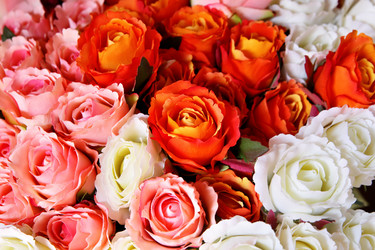 Similar image 457537