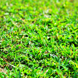 Similar image 457548