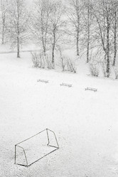 Similar image 457599