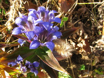 Similar image 457604