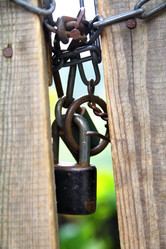 Similar image 457624