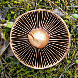 Similar image 457634