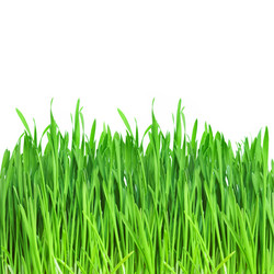 Similar image 457727