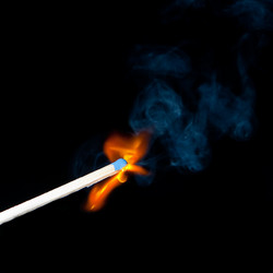 Similar image 457741