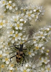 Similar image 457814