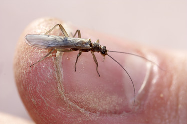 Similar image 457831