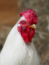 Similar image 457883