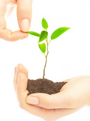 Similar image 457890