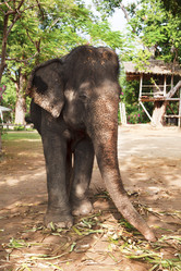 Similar image 457891