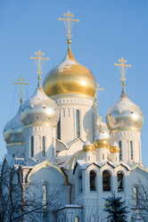 Similar image 457941