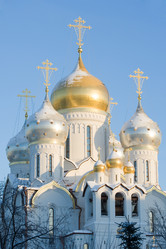 Similar image 457942