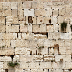 Similar image 458099