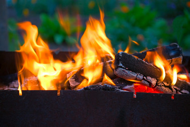 Similar image 458118