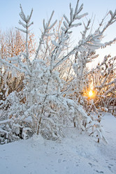 Similar image 458122