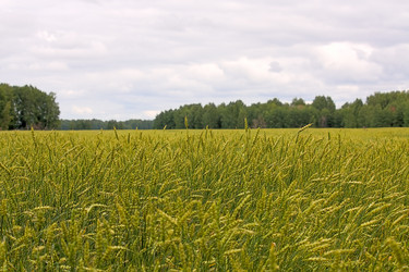 Similar image 458126