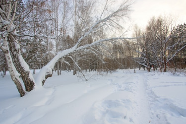 Similar image 458129