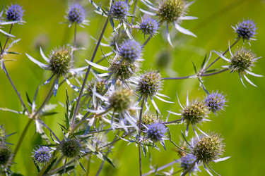 Similar image 458143