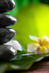 Similar image 458184