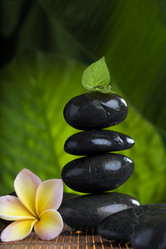 Similar image 458185