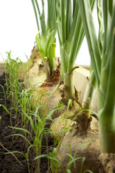 Similar image 458187