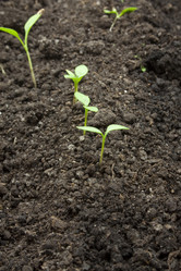 Similar image 458189