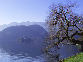 Similar image 458191