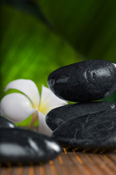 Similar image 458194