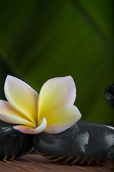 Similar image 458202