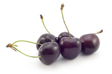 Similar image 458207