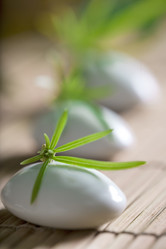 Similar image 458222