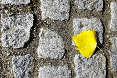 Similar image 458259