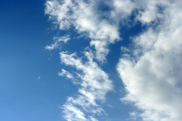 Similar image 458453