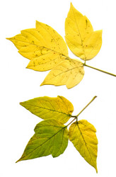 Similar image 458483