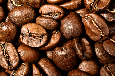 Similar image 458552