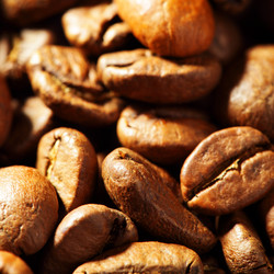 Similar image 458555