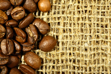 Similar image 458557